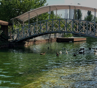Scenic bridge over a duck pond in Central Park