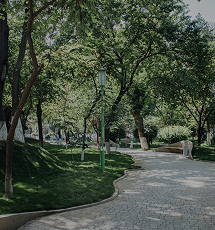 Shady green pathway in Central Park